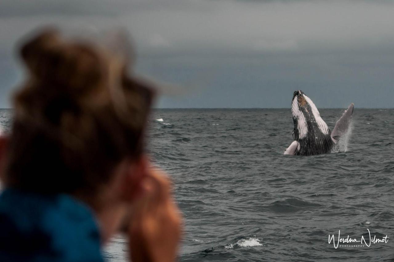Whale House Hotel Puerto López Екстериор снимка